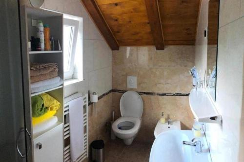 ein kleines Badezimmer mit Toilette und Waschbecken in der Unterkunft Holiday house with a parking space Fuzine, Gorski kotar - 20332 in Fužine