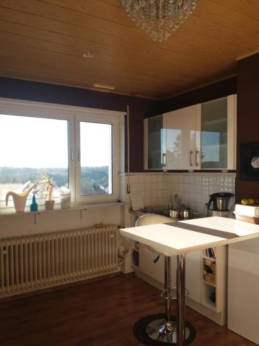 a kitchen with a white counter and two windows at Gemütliche, helle Wohnung im Luftkurort Dansenberg in Kaiserslautern