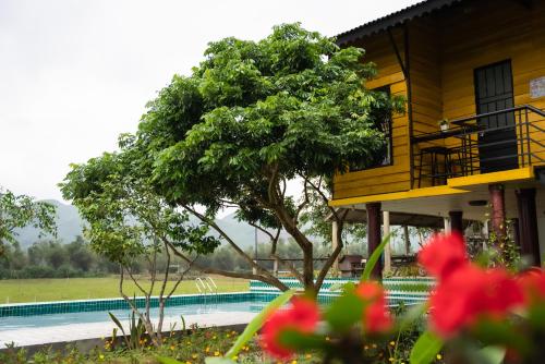 a house with a tree next to a swimming pool at Greenfield Ecostay in Phong Nha