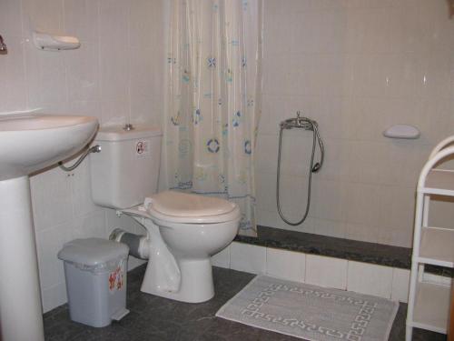 een badkamer met een toilet, een wastafel en een douche bij Nikos 8 in Kakóvatos