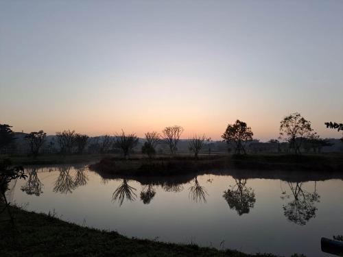 a reflection of trees in the water at sunset at DGD Chiangmai in Mae Rim