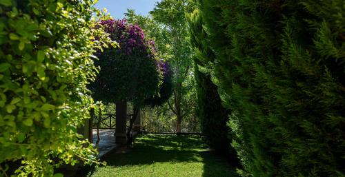 a garden with a gate and some bushes and trees at Kakamas Hotel in Kakamas