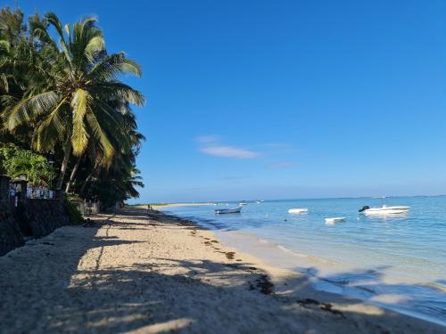 einen Strand mit einer Palme und Booten im Wasser in der Unterkunft Villa La Preneuse in Rivière Noire