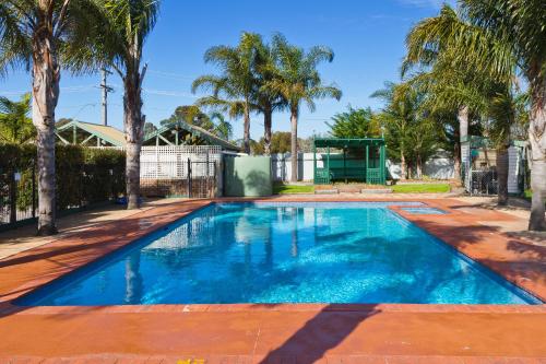 uma piscina num quintal com palmeiras em Sandhurst Motel em Carrum Downs