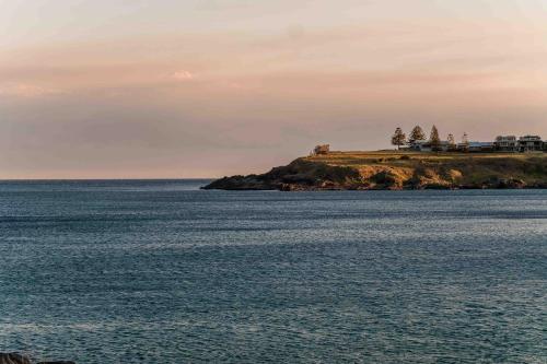 a house on an island in the water at Driftwood Beach House in Kiama