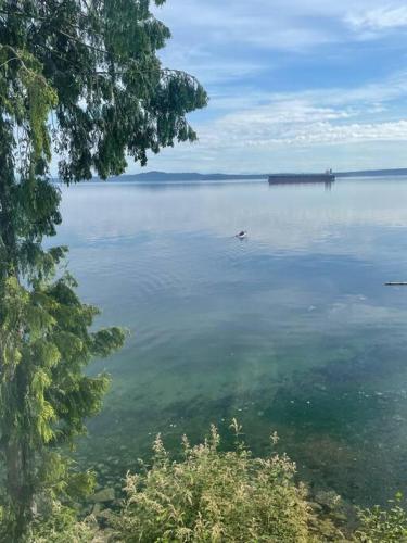 Gallery image of Vancouver Castle Waterfront with hot tub beach downtown in Chemainus