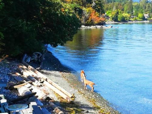Gallery image of Vancouver Castle Waterfront with hot tub beach downtown in Chemainus