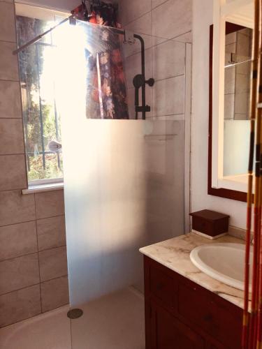 une salle de bain avec une douche, un lavabo et un miroir dans l'établissement Bel appartement et jardin chez Maison Devaux, à Rion-des-Landes