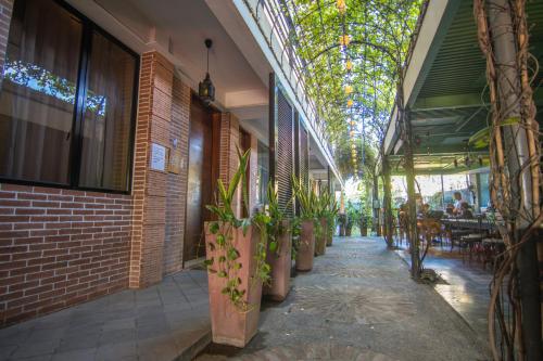 Zahrada ubytování Gwandalan House
