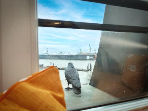 a bird standing on a window sill looking at the water at LOFT-Panoramablick-HAFEN & ELBE! in Hamburg
