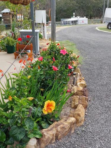 Gallery image of Taroom Caravan & Tourist Park in Taroom