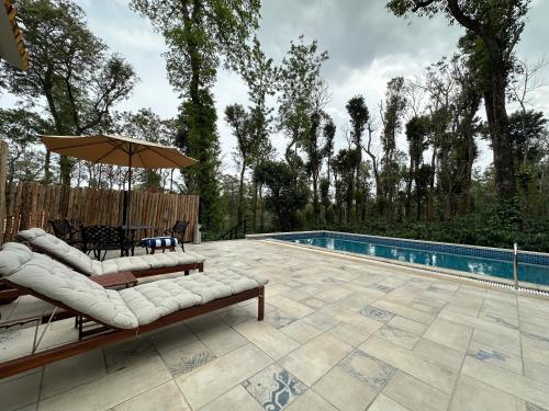 un patio con 2 tumbonas y una sombrilla junto a la piscina en Machaan Wilderness Lodge Nagarahole en Srimangala