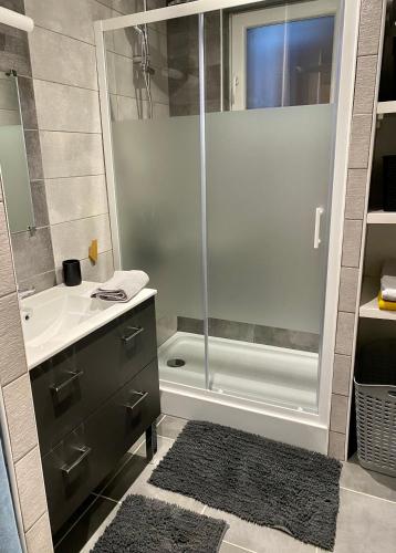 une salle de bain avec douche et lavabo dans l'établissement Le Biclou- 3 chambres, à Bazincourt-sur-Saulx