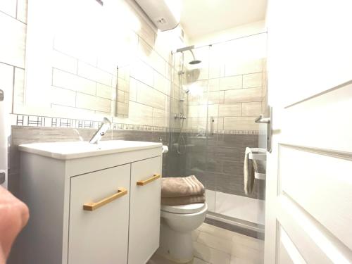 ein Bad mit einem Waschbecken, einem WC und einer Dusche in der Unterkunft Le Montgy - Studio tout confort à Royat National N1 in Royat