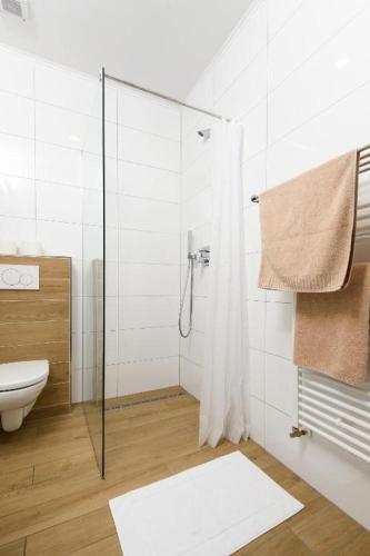 a bathroom with a shower with a toilet and a sink at Penzion ARENAostrov in Trenčín