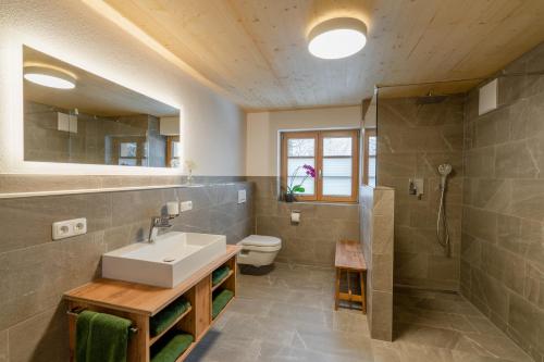 een badkamer met een wastafel, een douche en een toilet bij Waldgut in Oberstdorf