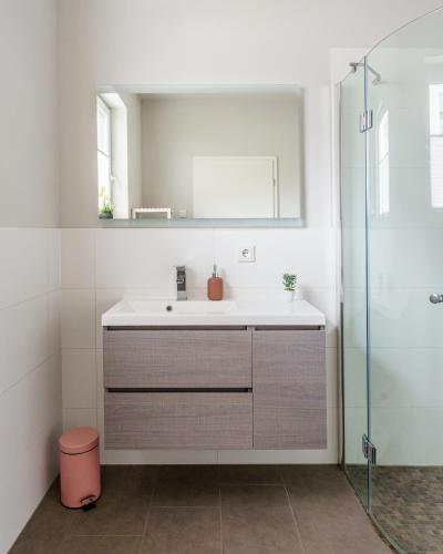 a bathroom with a sink and a shower at Stilapartment Loft in Wernigerode