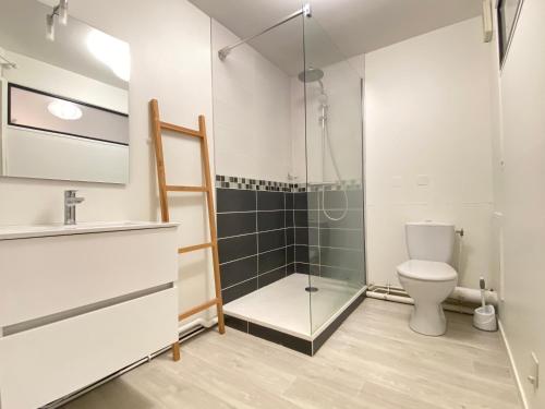 a bathroom with a shower and a toilet at Gabriel - B - Studio plein centre ville in Clermont-Ferrand