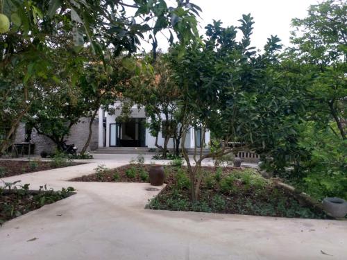 a walkway in front of a house with trees at Tuyet's hostel in Ninh Binh