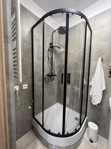 La salle de bains est pourvue d'une douche avec une porte en verre. dans l'établissement Apartament rodzinny 40m2, à Pabianice