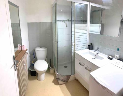 La salle de bains est pourvue de toilettes, d'une douche et d'un lavabo. dans l'établissement Studio LEON, à Chambéry