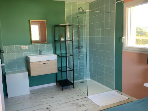 ein Bad mit einer Dusche und einem Waschbecken in der Unterkunft Maison Plogoff- Baie des Trépassées in Plogoff