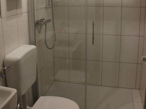 een badkamer met een douche, een toilet en een wastafel bij Zur Dorfschänke in Medebach