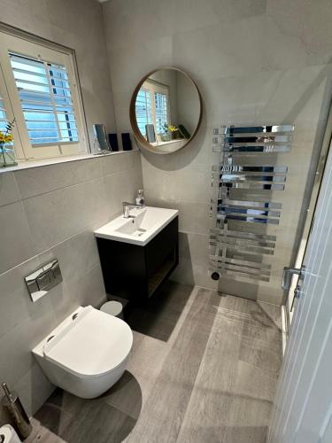 a bathroom with a toilet and a sink and a mirror at The Studio, Foss Street, Central Dartmouth in Dartmouth