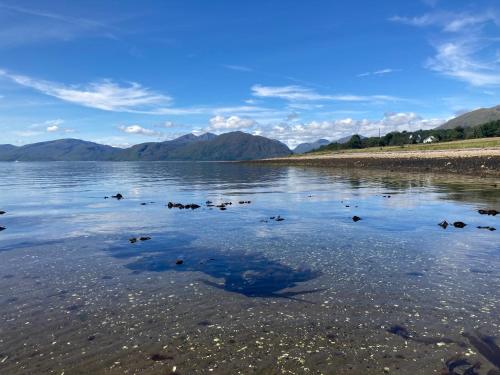 a group of ducks swimming in a body of water at Highland Croft B&B in Onich