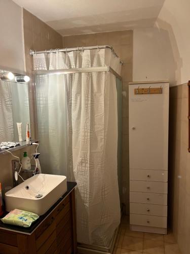 Airole的住宿－Vacation house in Airole, Liguria, Italy，一间带水槽和淋浴帘的浴室