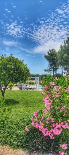 Taman di luar B&B Sogno Salentino