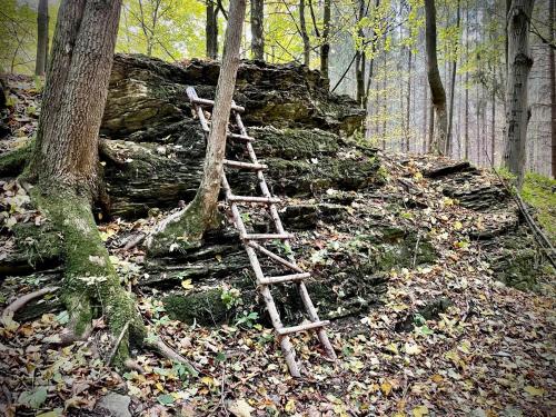 a ladder sitting on the ground in the woods at HARABURDI® Recyclart Hotel in Kostelec nad Orlicí