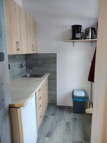 a small kitchen with wooden cabinets and a sink at Apartmány Puskarčíková in Harrachov