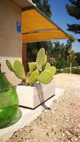 Taman di luar B&B Sogno Salentino