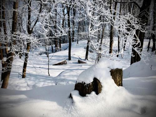a pile of snow on top of a tree stump at HARABURDI® Recyclart Hotel in Kostelec nad Orlicí