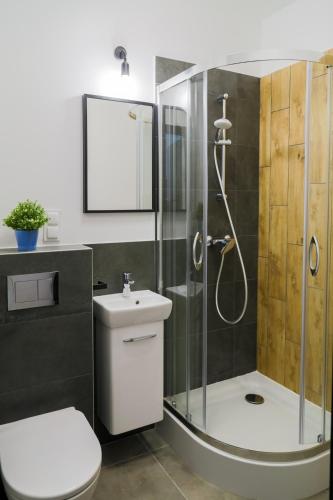 a bathroom with a shower and a toilet and a sink at Apartamenty Silver Place in Szczecin