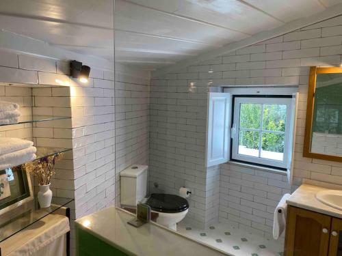 a bathroom with a toilet and a window at Casa Flor de Lis, Sardoal in Sardoal