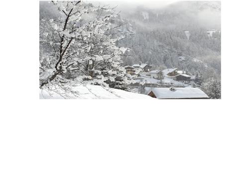 a black and white photo of a snow covered tree at Valtournenche Appartamento comodo alle piste in Singlin