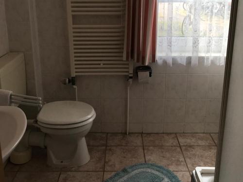 łazienka z toaletą i umywalką w obiekcie Pension Martens - Ella w mieście Wieck