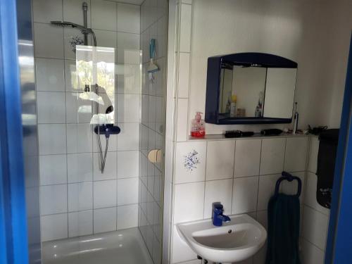 ein Bad mit einer Dusche, einem Waschbecken und einem Spiegel in der Unterkunft Rheinblick Waldshut 2 in Waldshut-Tiengen