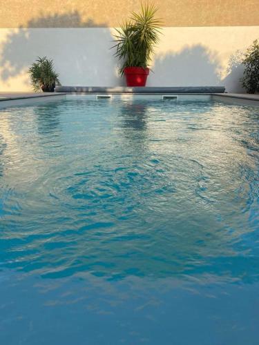 LA CASA SANILLS – Photos 5