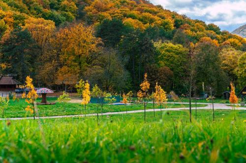 a park with trees and a path in the grass at Gombaszög in Gombasek