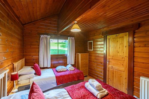 a bedroom with two beds in a log cabin at Lady Galloway 28 with Hot Tub in Newton Stewart