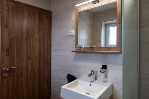 a bathroom with a sink and a mirror at Vila Marin Miler in Prevalje