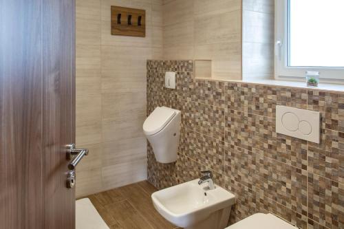 a bathroom with a toilet and a sink at Vila Marin Miler in Prevalje