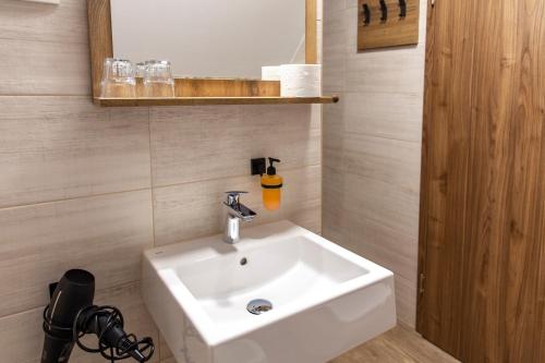 a bathroom with a white sink and a mirror at Vila Marin Miler in Prevalje