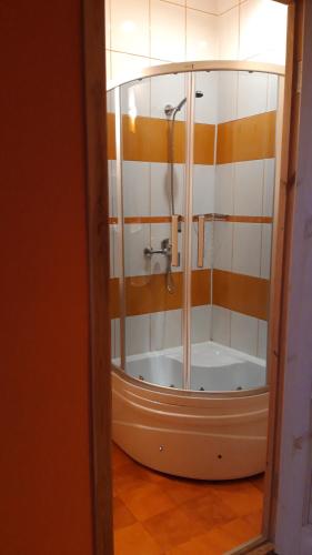 a bathroom with a shower and a bath tub at Viesu nams Zaļā Sala in Litavniki
