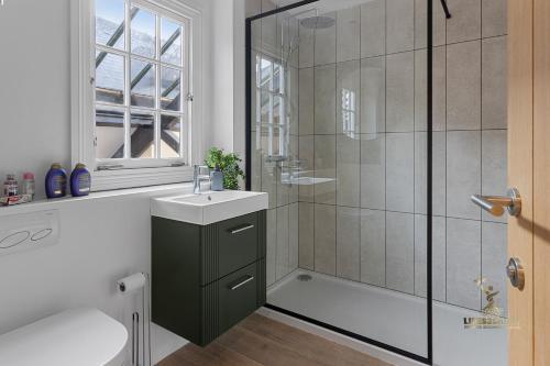 a bathroom with a shower and a sink and a toilet at Luxe Courtyard Apartment for 4 Near Exeter City Centre in Exeter