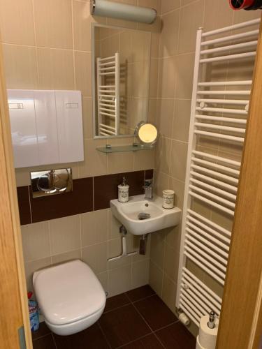 uma pequena casa de banho com WC e lavatório em Penzion Park - 2 izbové apartmány em Nové Mesto nad Váhom