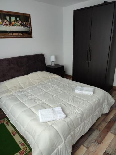 Un pat sau paturi într-o cameră la APARTAMENT HD ELI